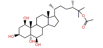 (24S)-Ergostane-1b,3b,5a,6b-tetraol 25-monoacetate